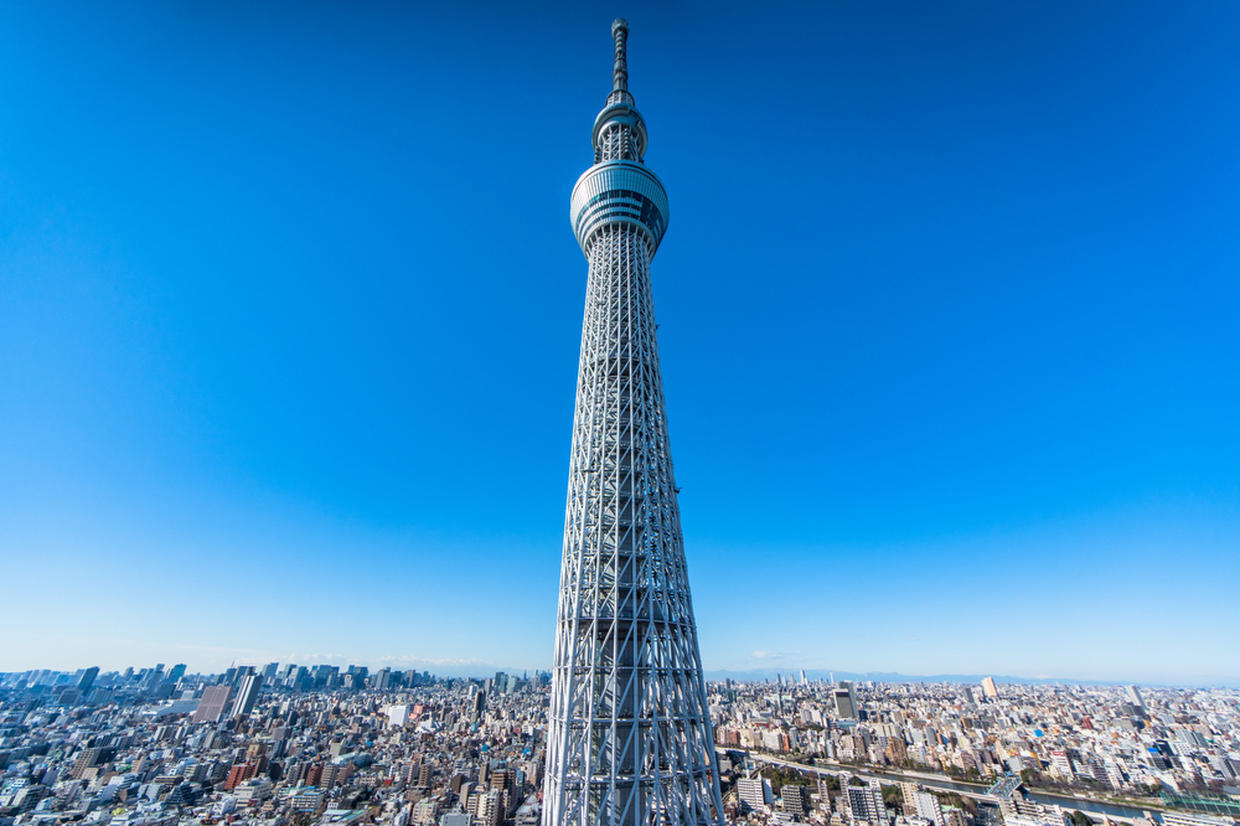 の画像