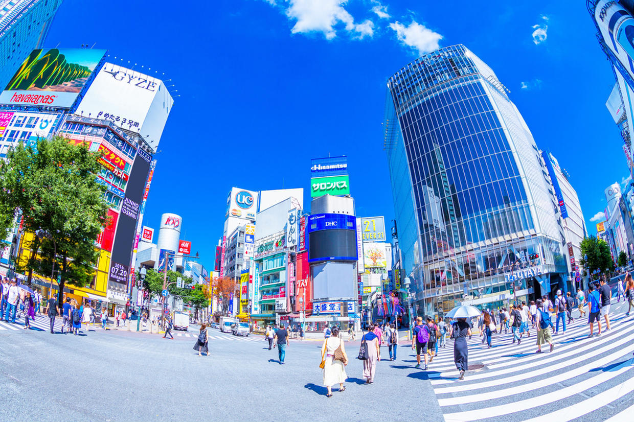の画像