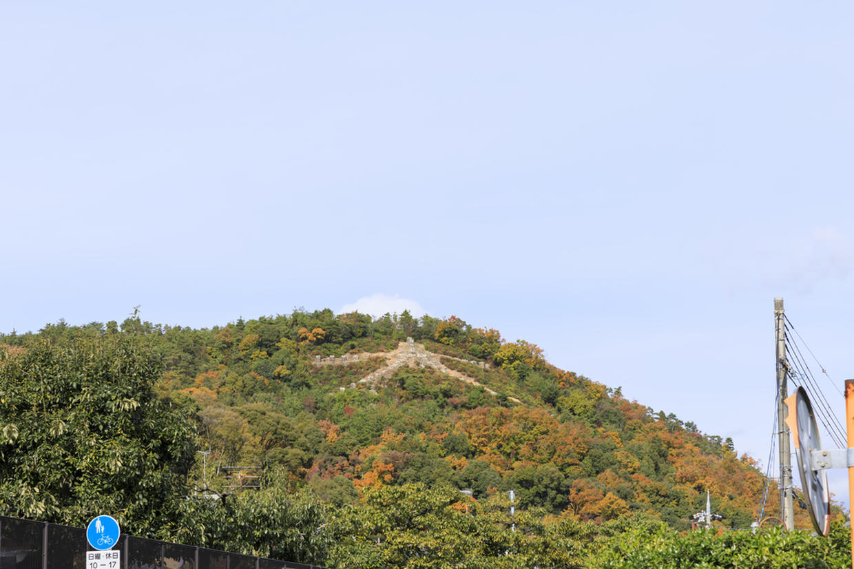 の画像