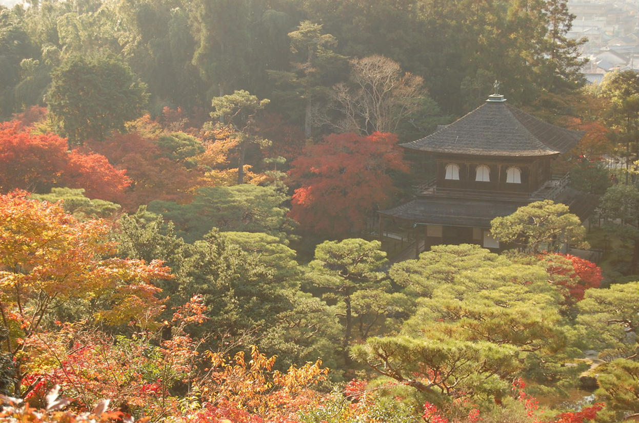 の画像