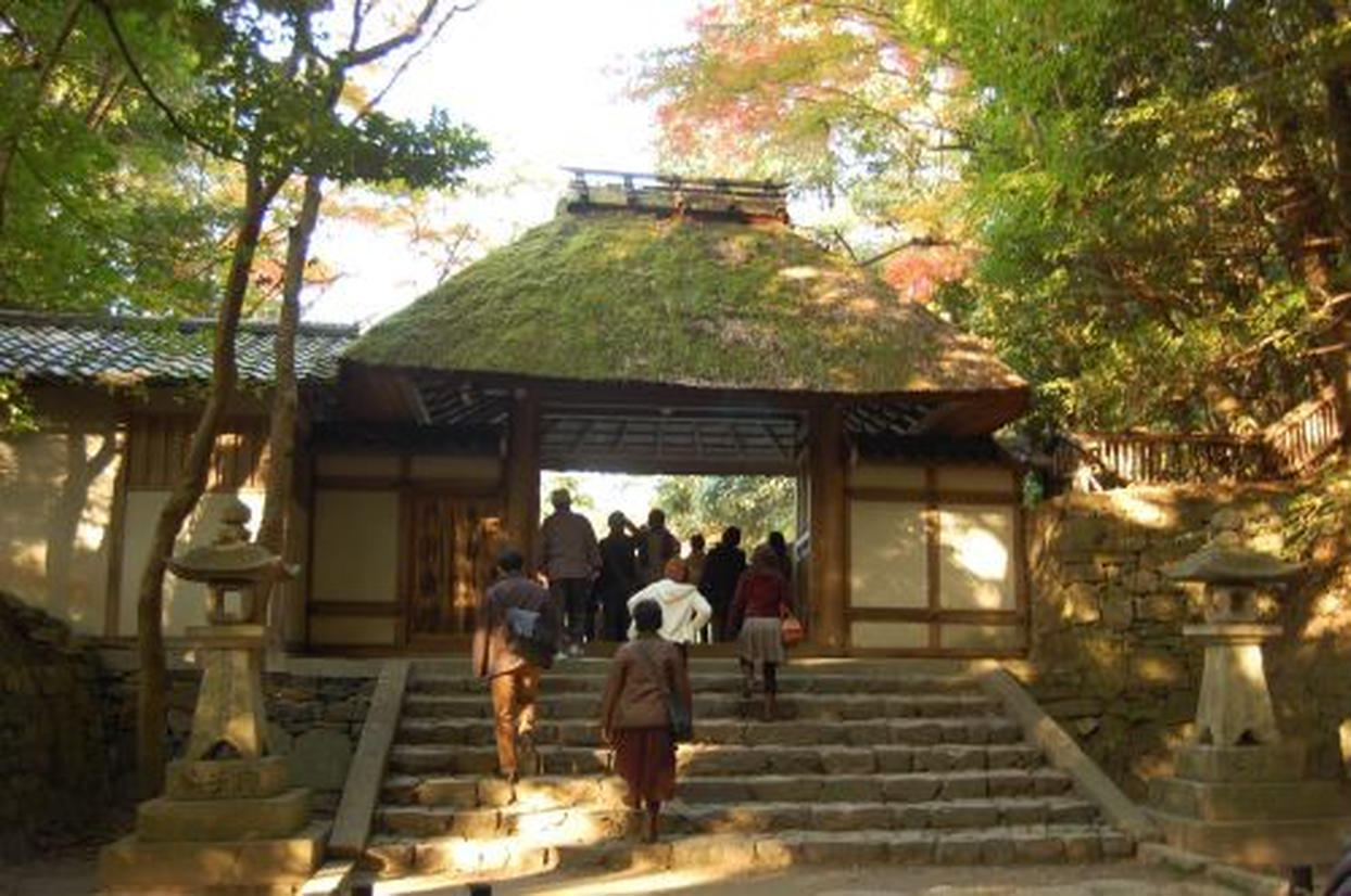 の画像
