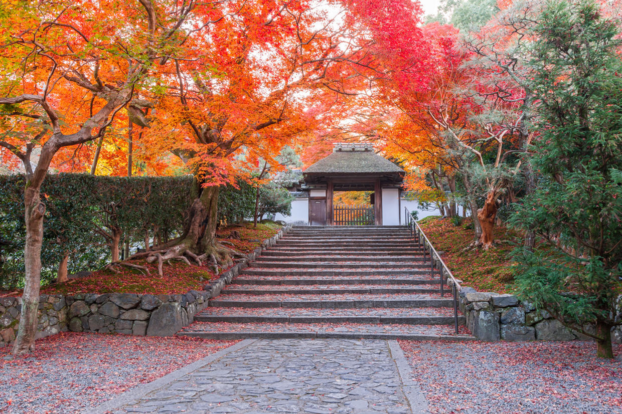 の画像