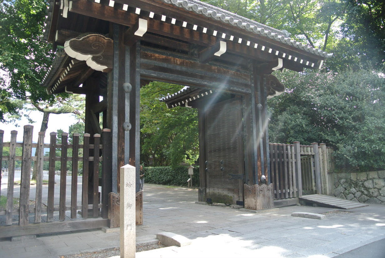 の画像