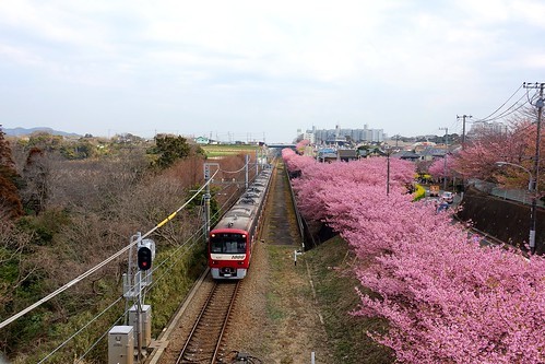 の画像