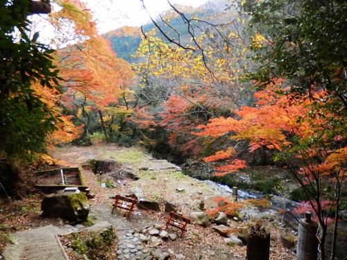 の画像