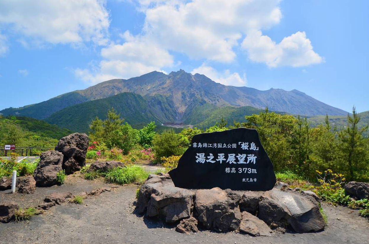 の画像