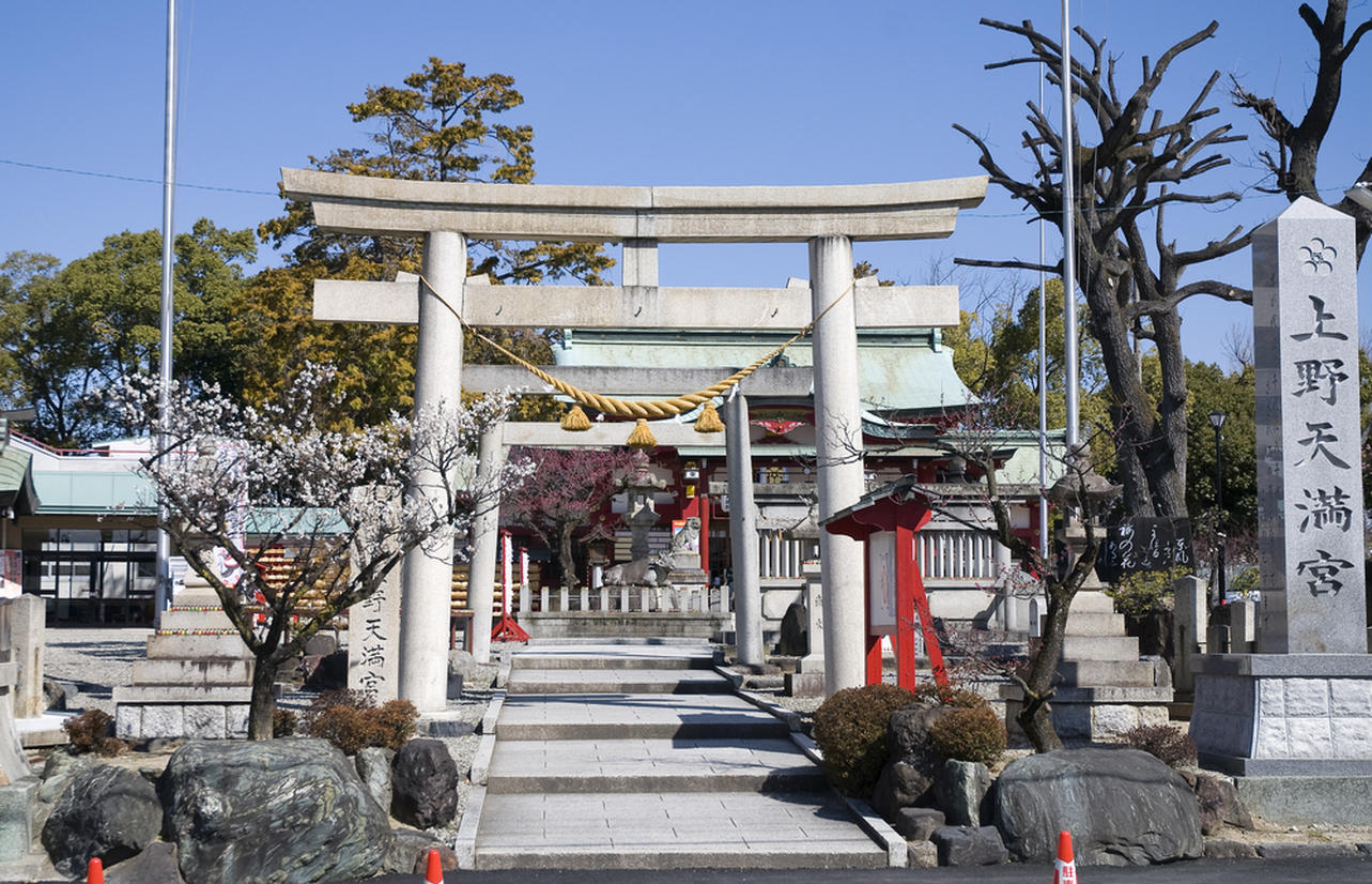 の画像