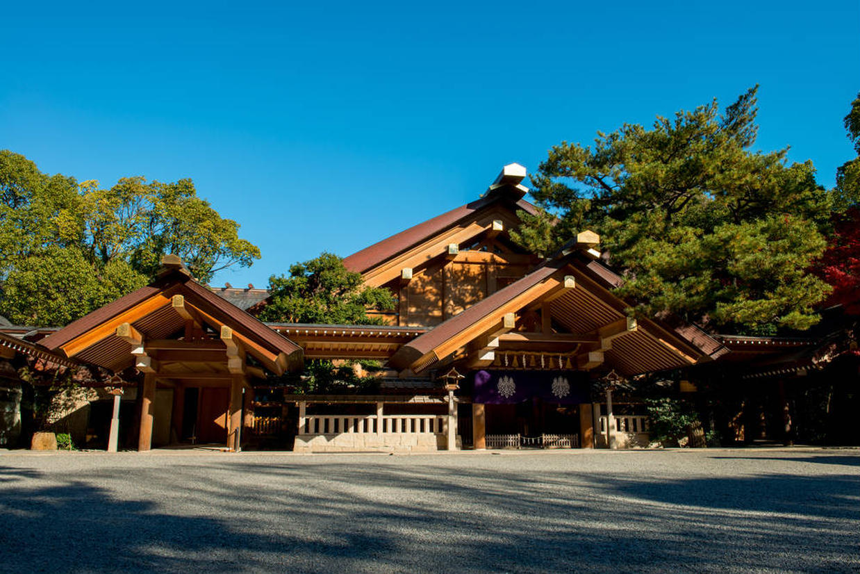 の画像