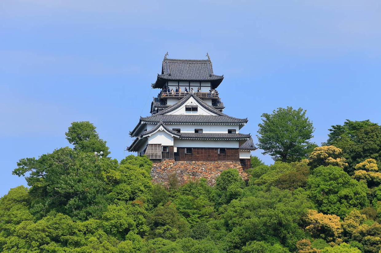 の画像