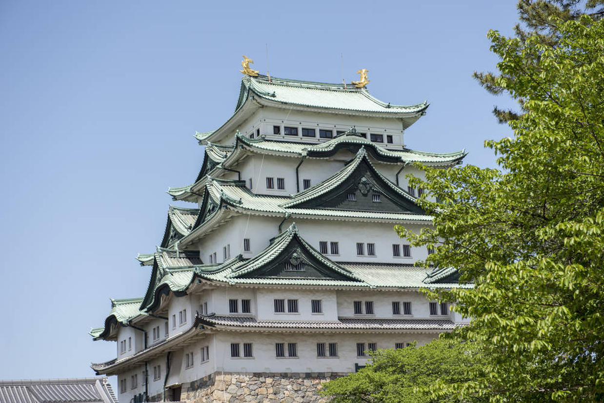 の画像