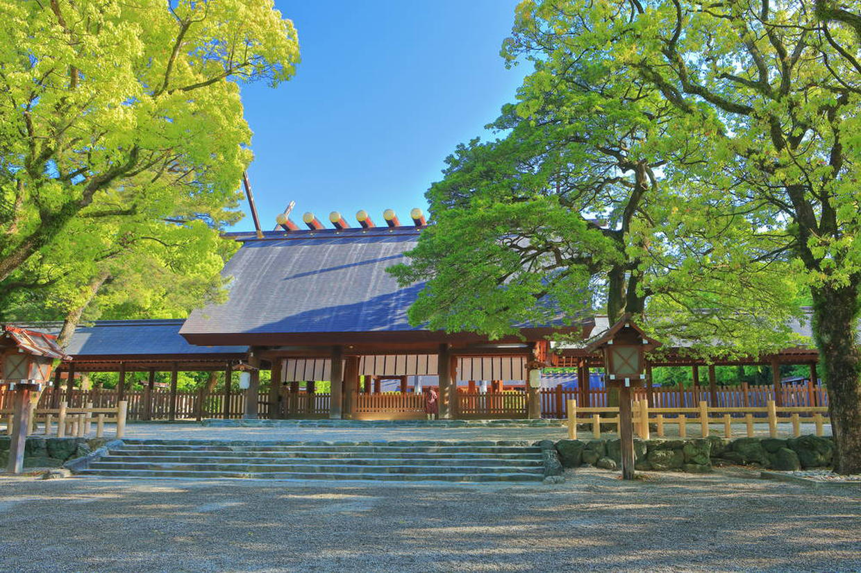 の画像