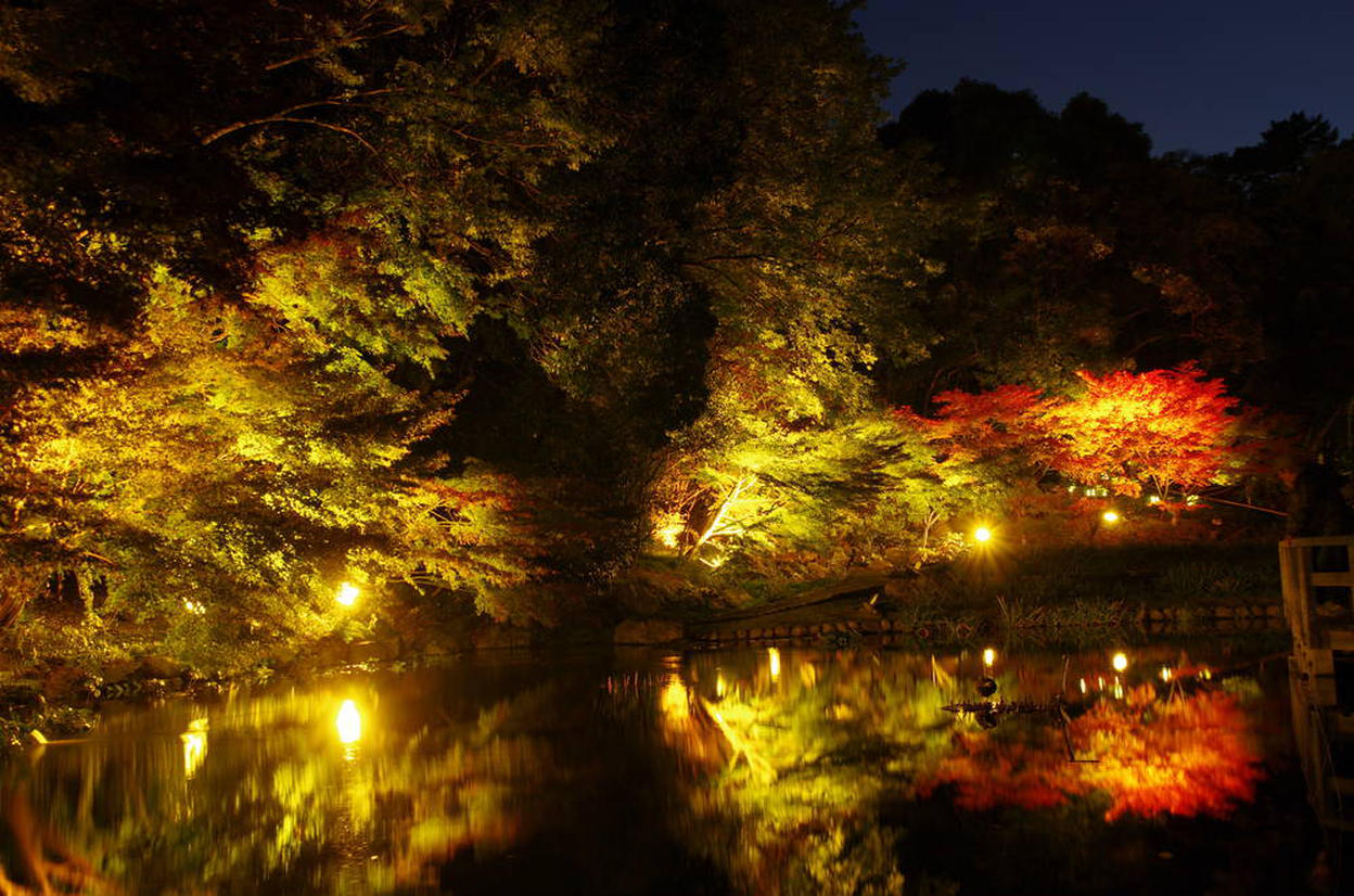 の画像