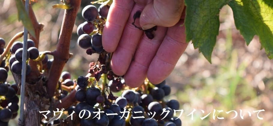 【赤ワインのおすすめ10選】ワイン初心者向けに特徴や選び方もご紹介の画像