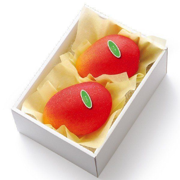 の画像
