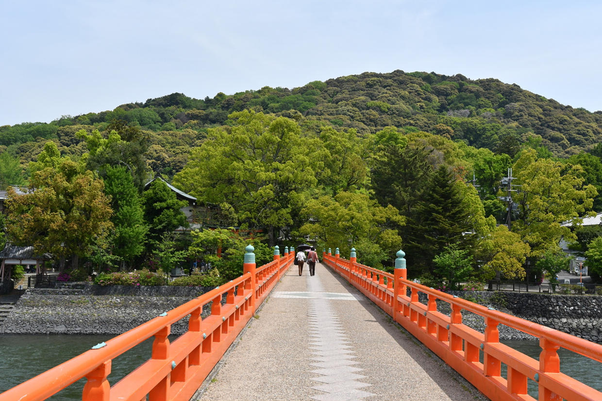 の画像