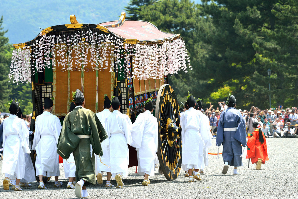 の画像