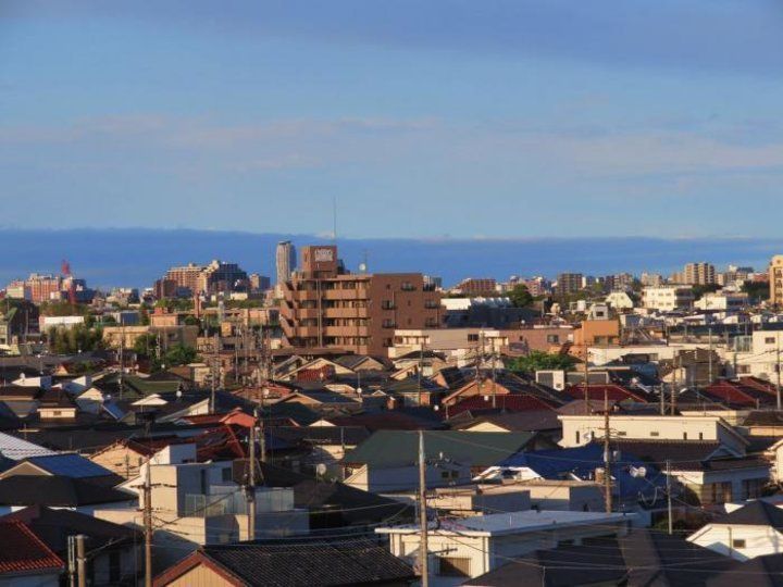 の画像