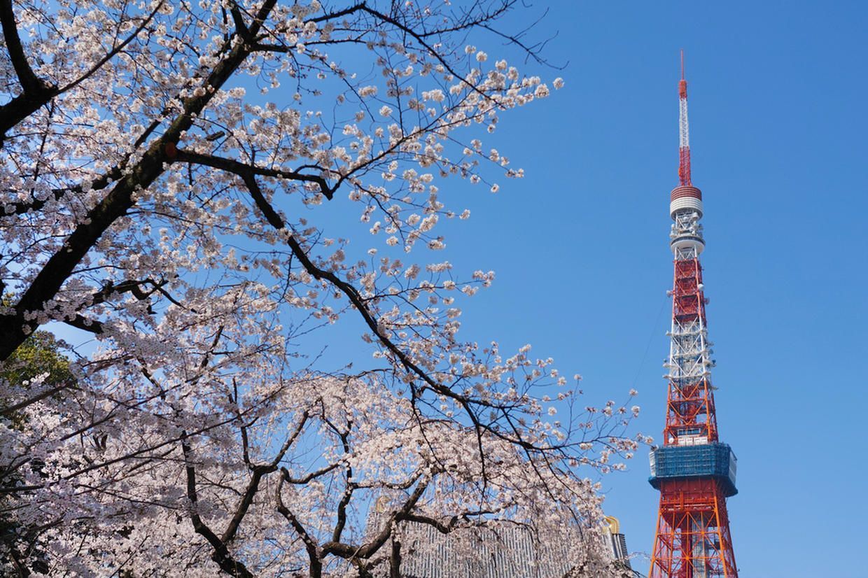 の画像