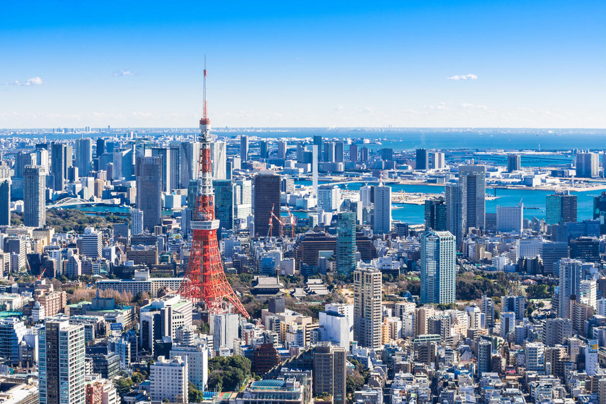 の画像
