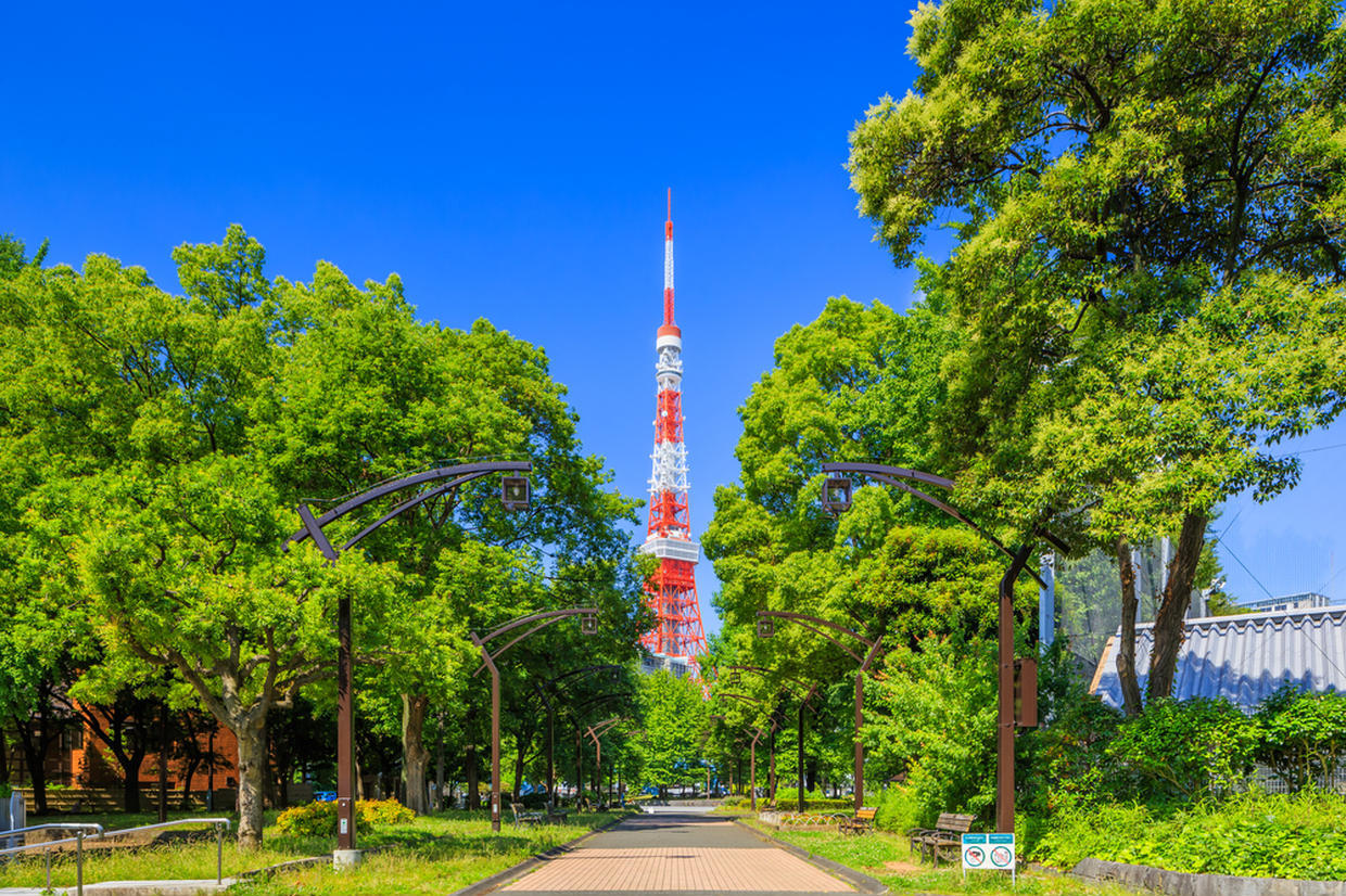の画像