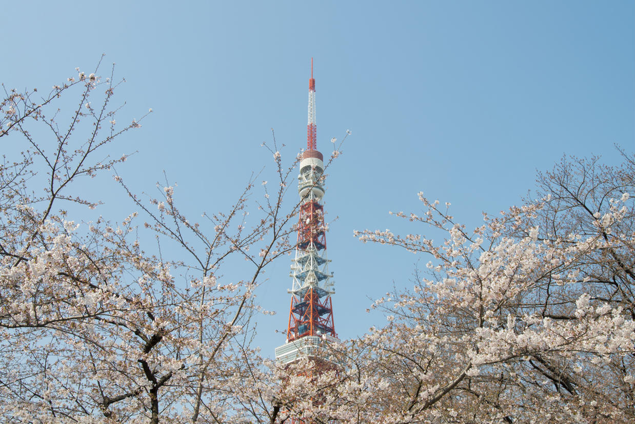 の画像