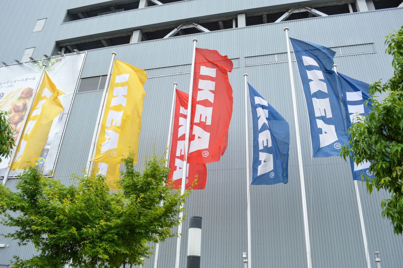 の画像