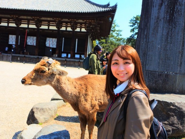 の画像
