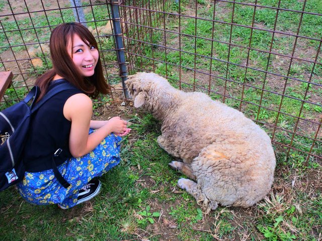 の画像
