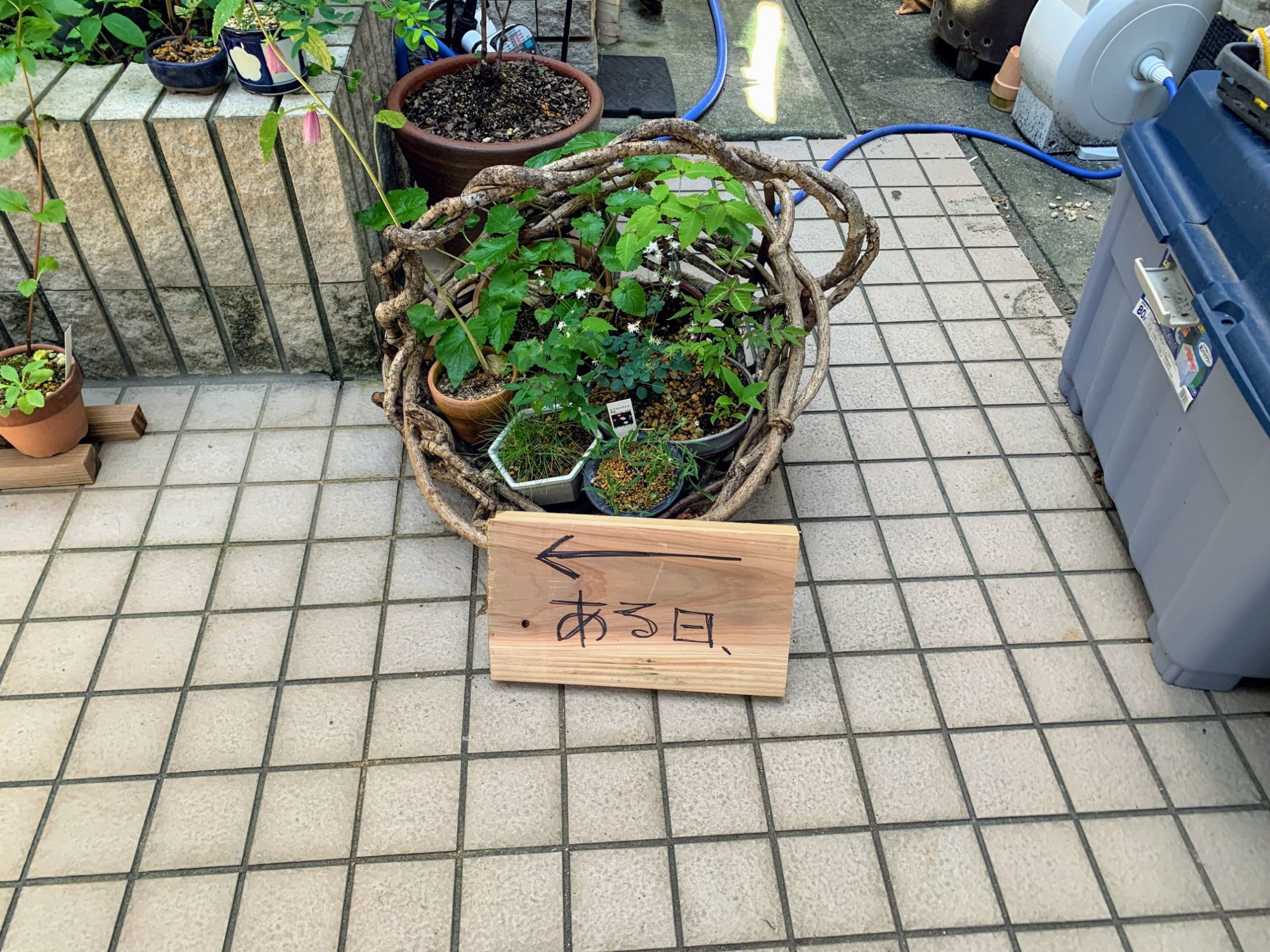 の画像