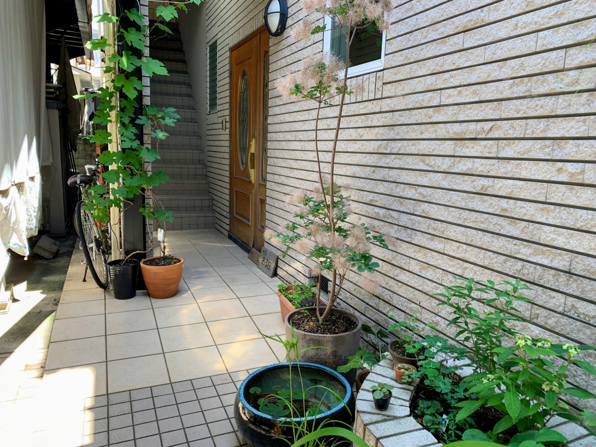 の画像