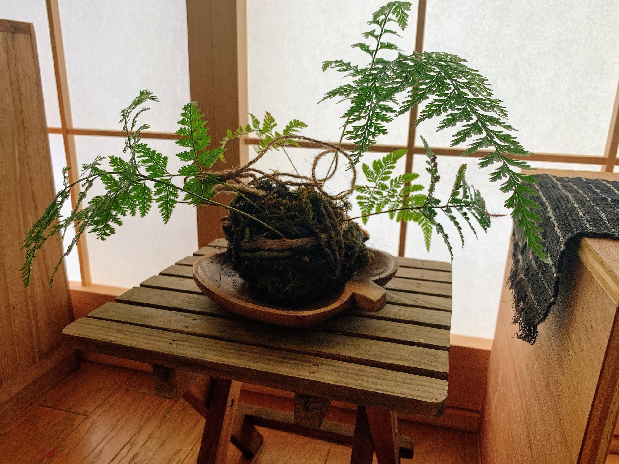 の画像