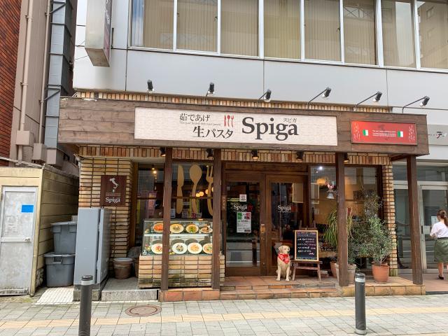 の画像