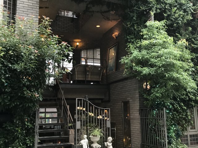 の画像