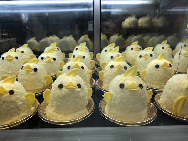 の画像