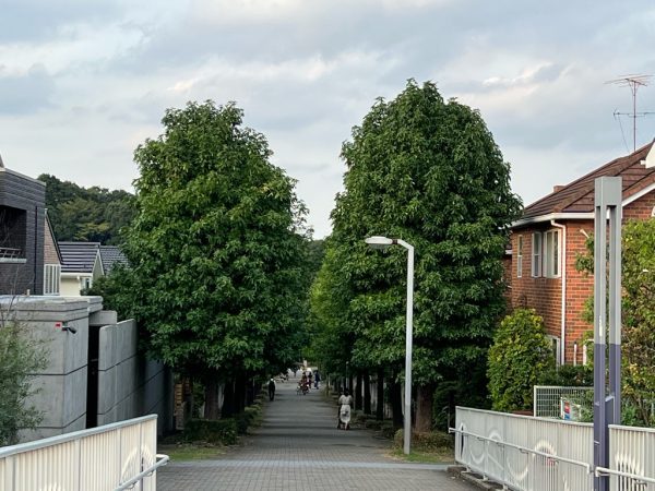 の画像