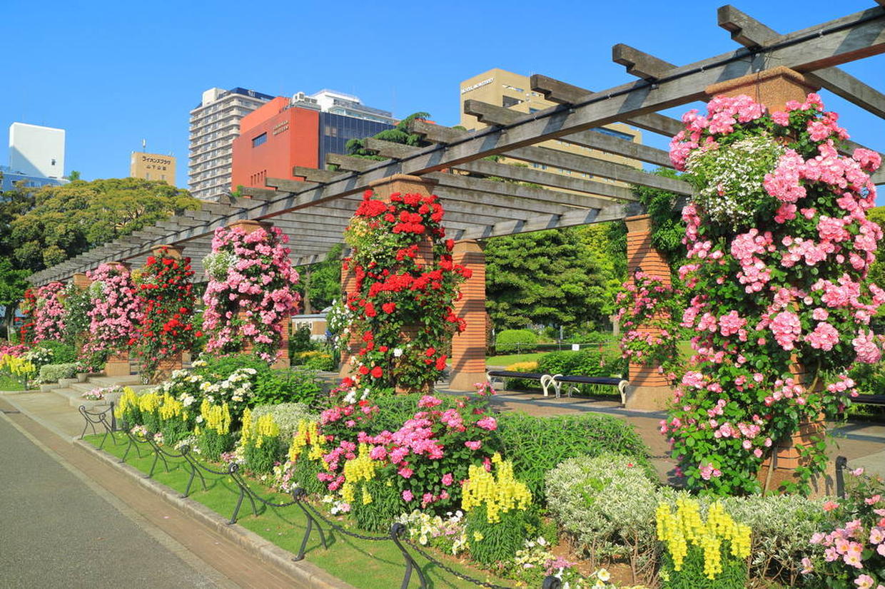 の画像