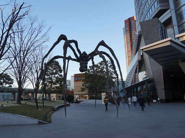 の画像