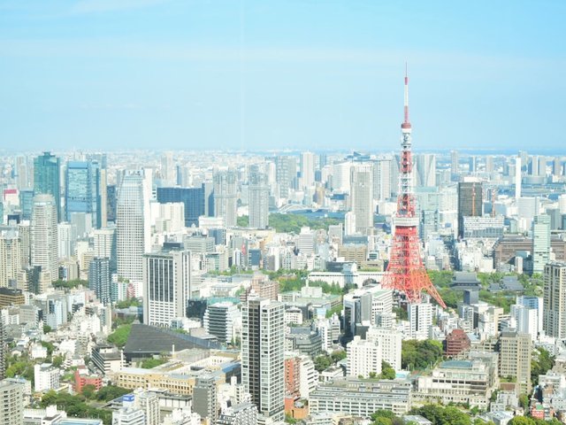 の画像