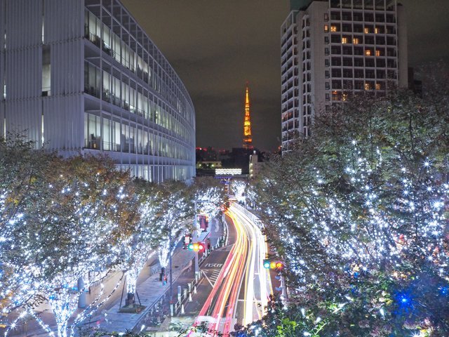 の画像