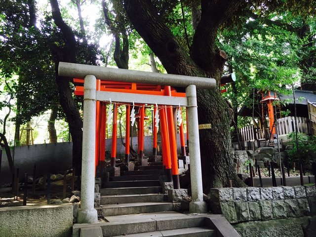 の画像