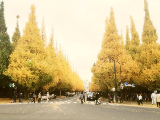 の画像