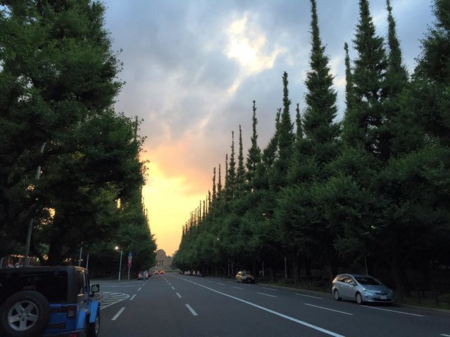の画像