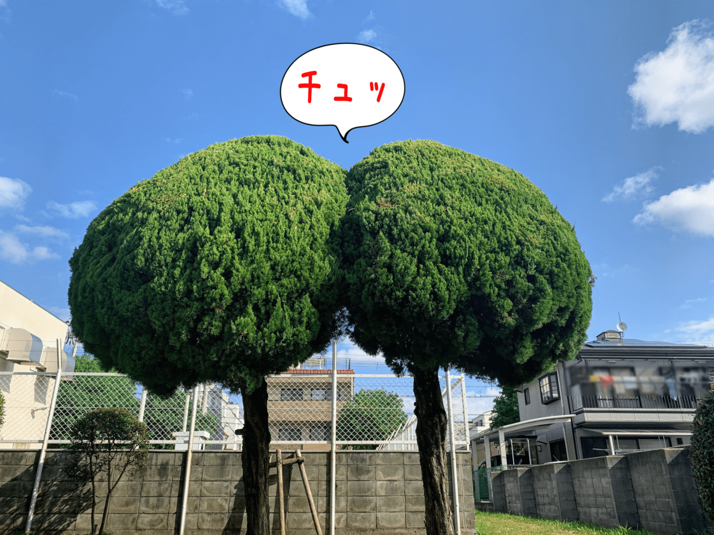 の画像