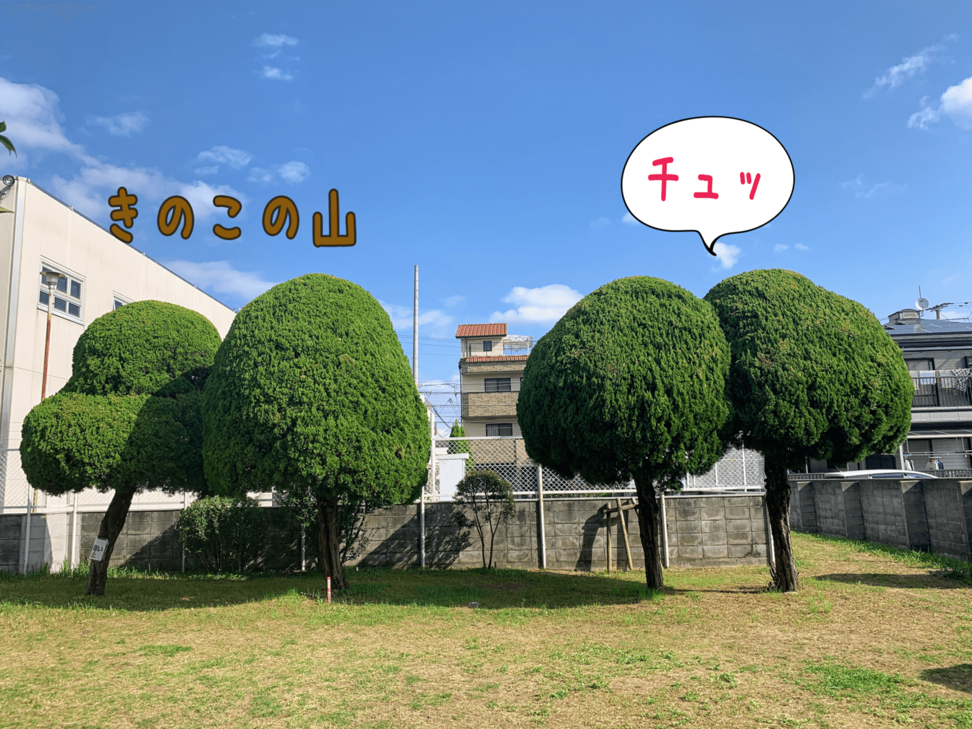 の画像