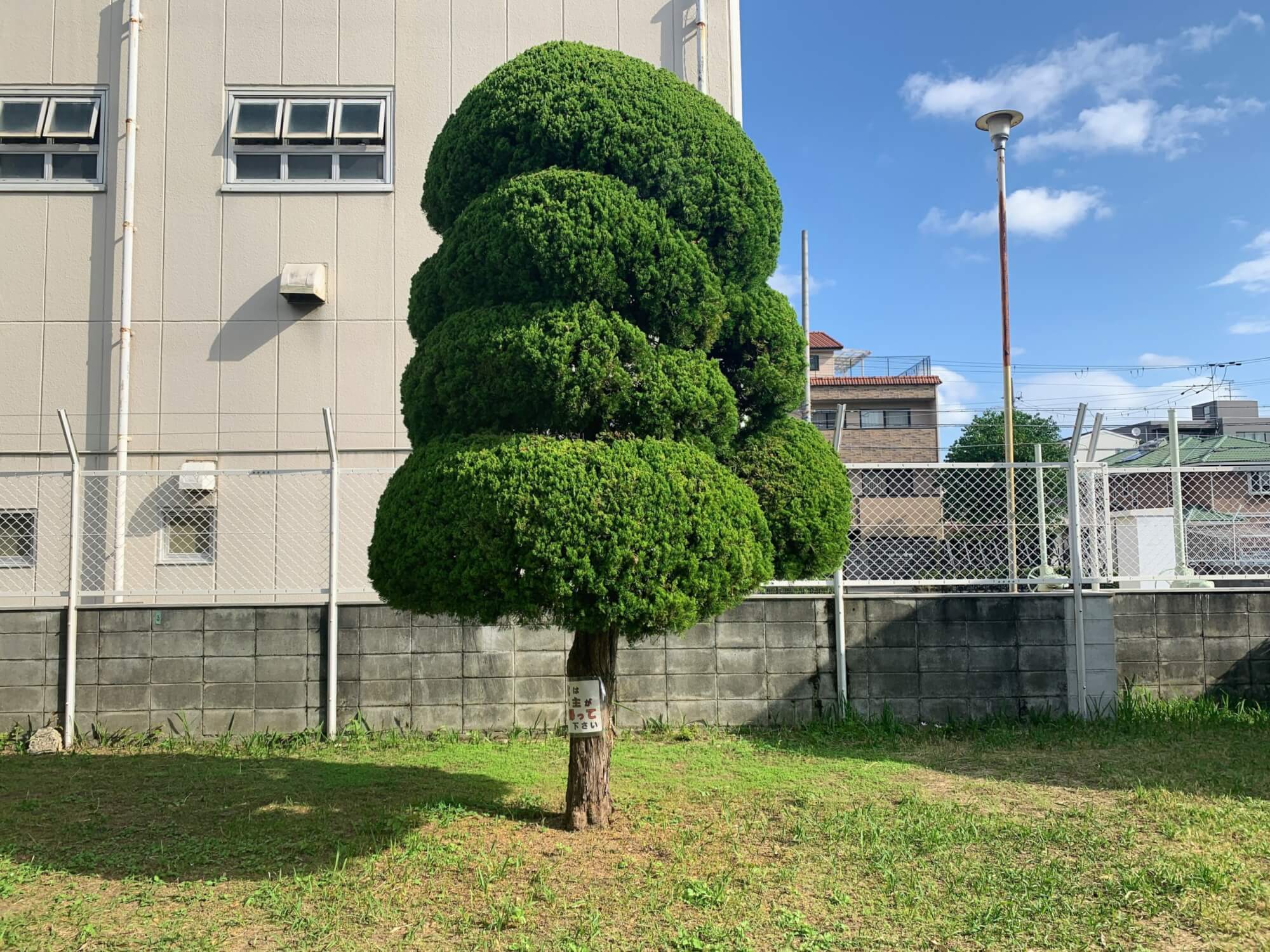 の画像