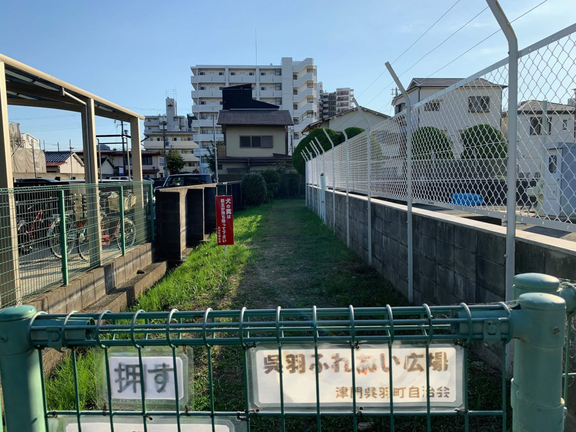 の画像