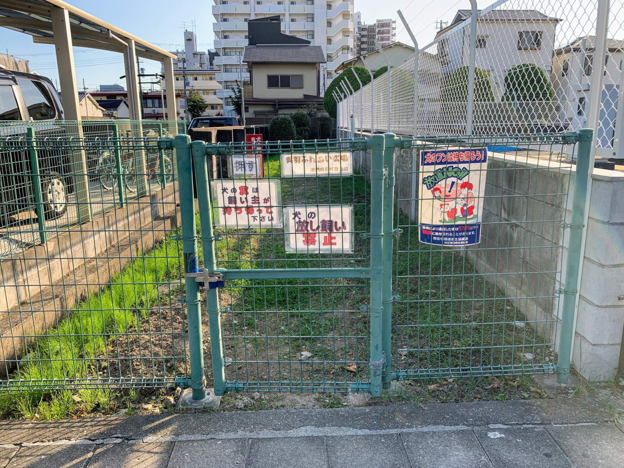 の画像