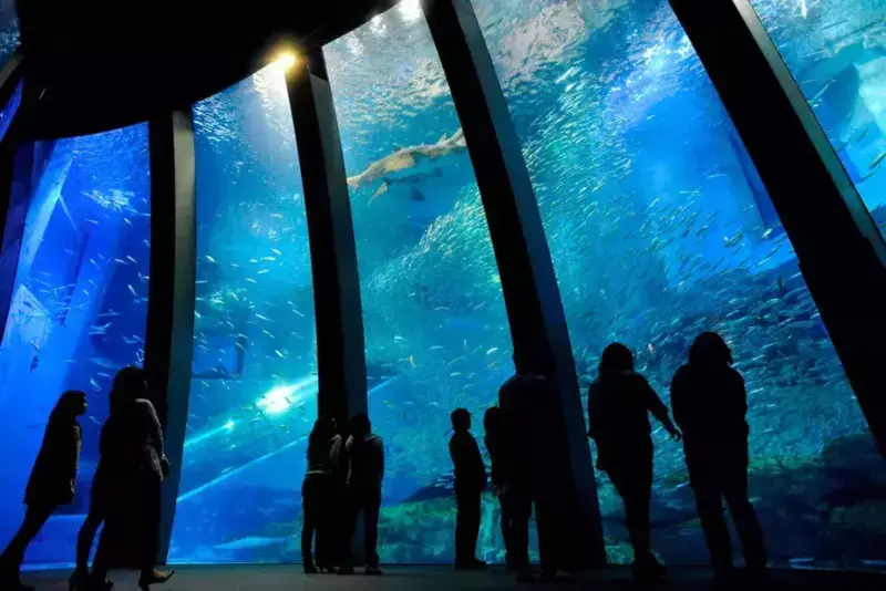 9. 水族館と遊園地で1日中遊べる「八景島シーパラダイス」 1枚目