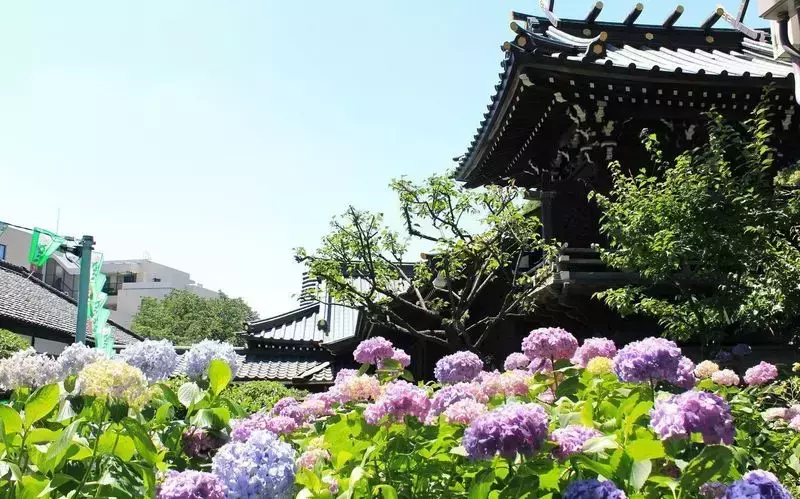 の画像