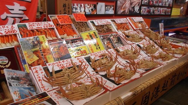 【福井県】ひとり旅で行ってみたい！綺麗・珍しい観光スポットの画像